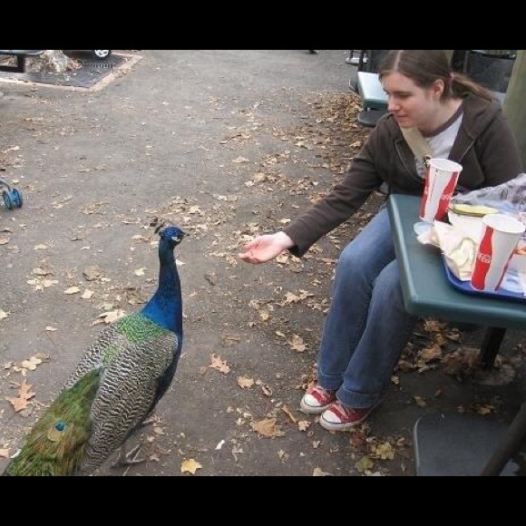 Meet your Posher, emchapps - Picture 1 of 1